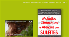 Desktop Screenshot of les-sulfites.com
